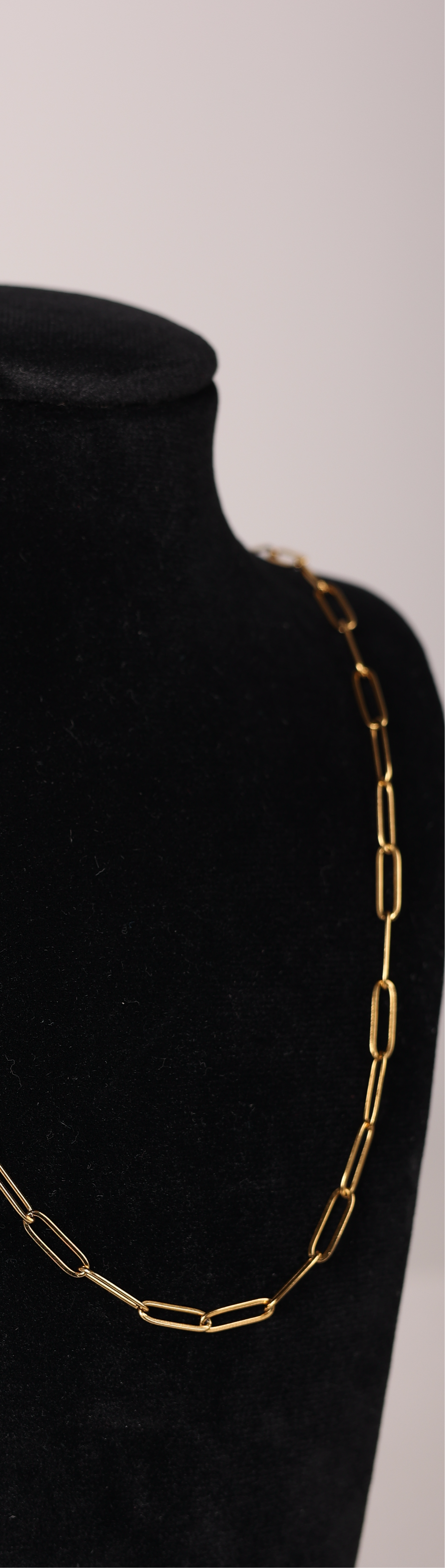 Paperclip Gold Necklace