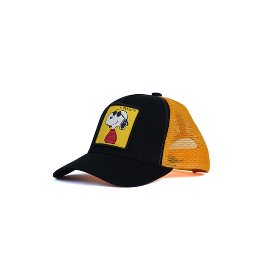 Unisex Mesh Cap